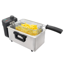 Friteuse rvs
